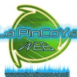 La Pincoya Web